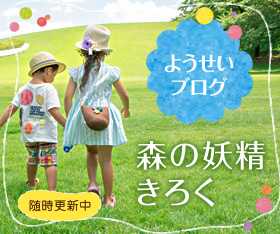森の妖精きろく/ようせいブログ